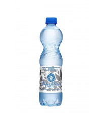 Вода природная питьевая газированная "Переславица", 1,5 л 6 шт